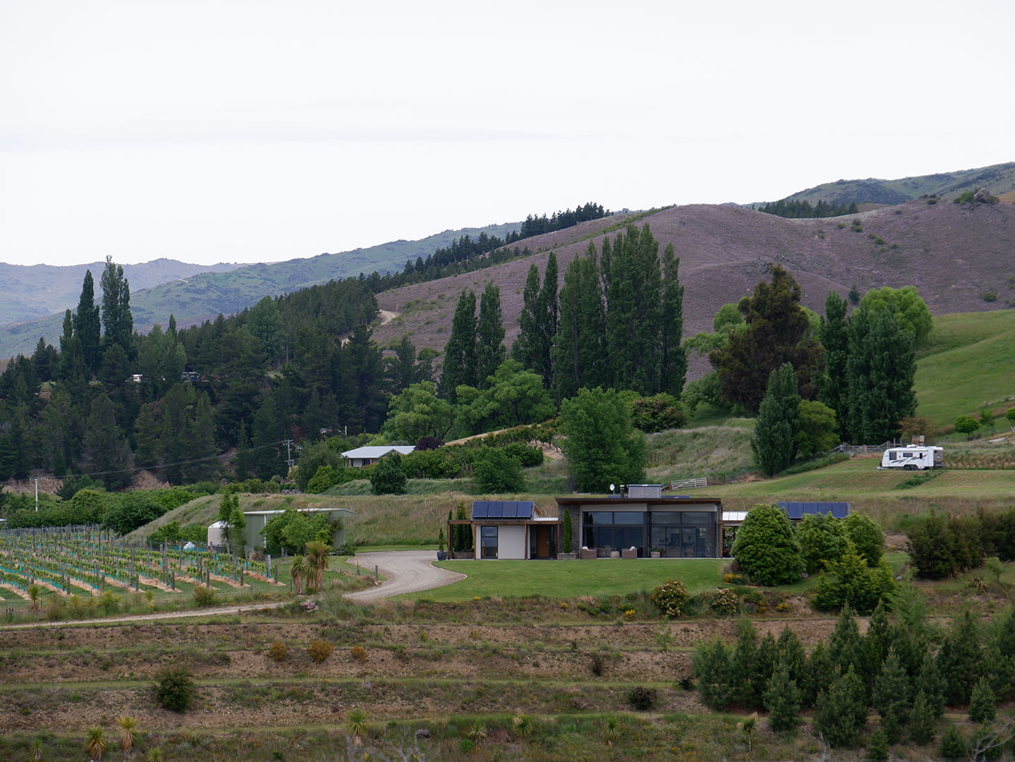 Central Otago Countryside