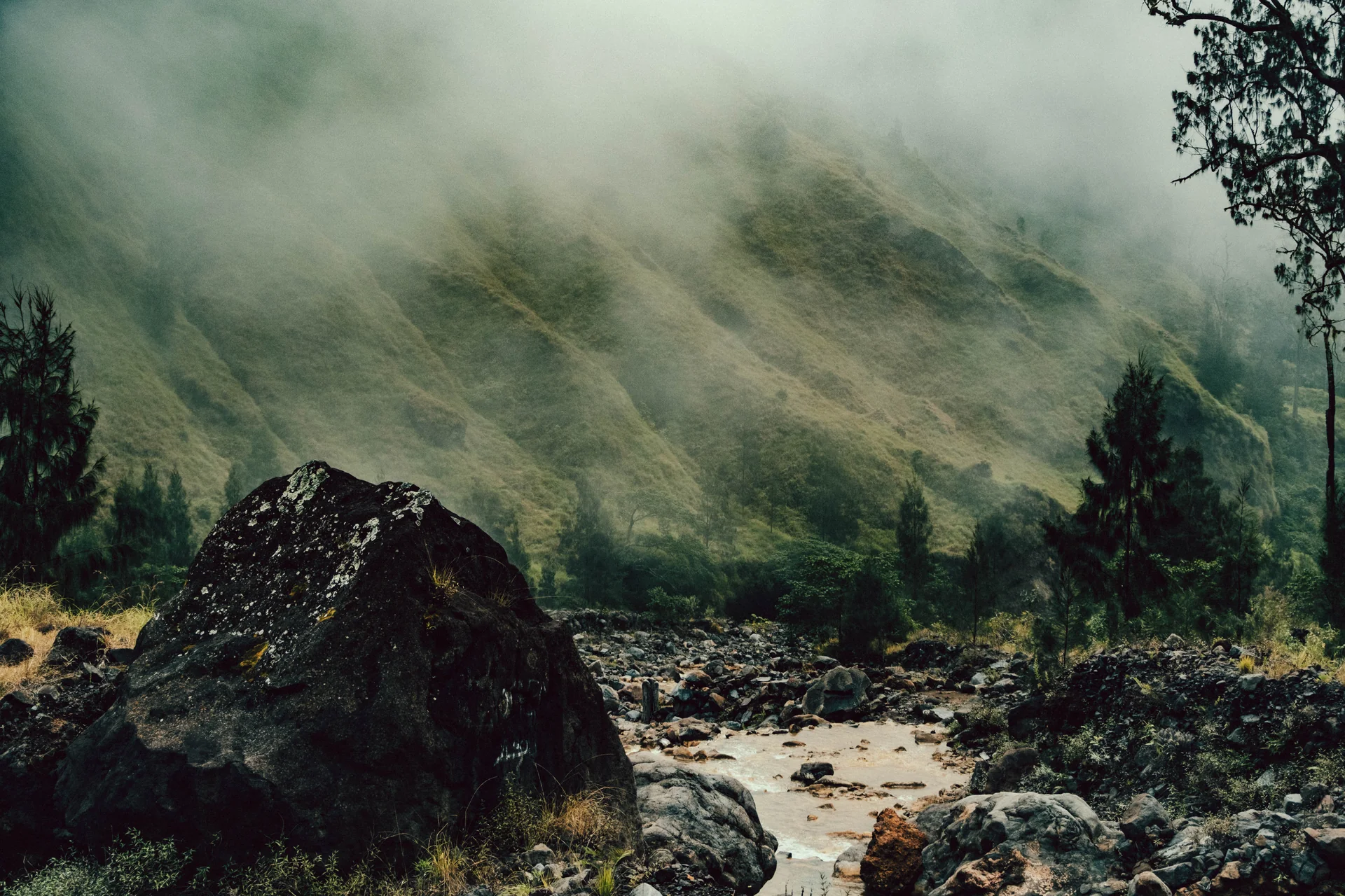 Boulder stream below misty slopes