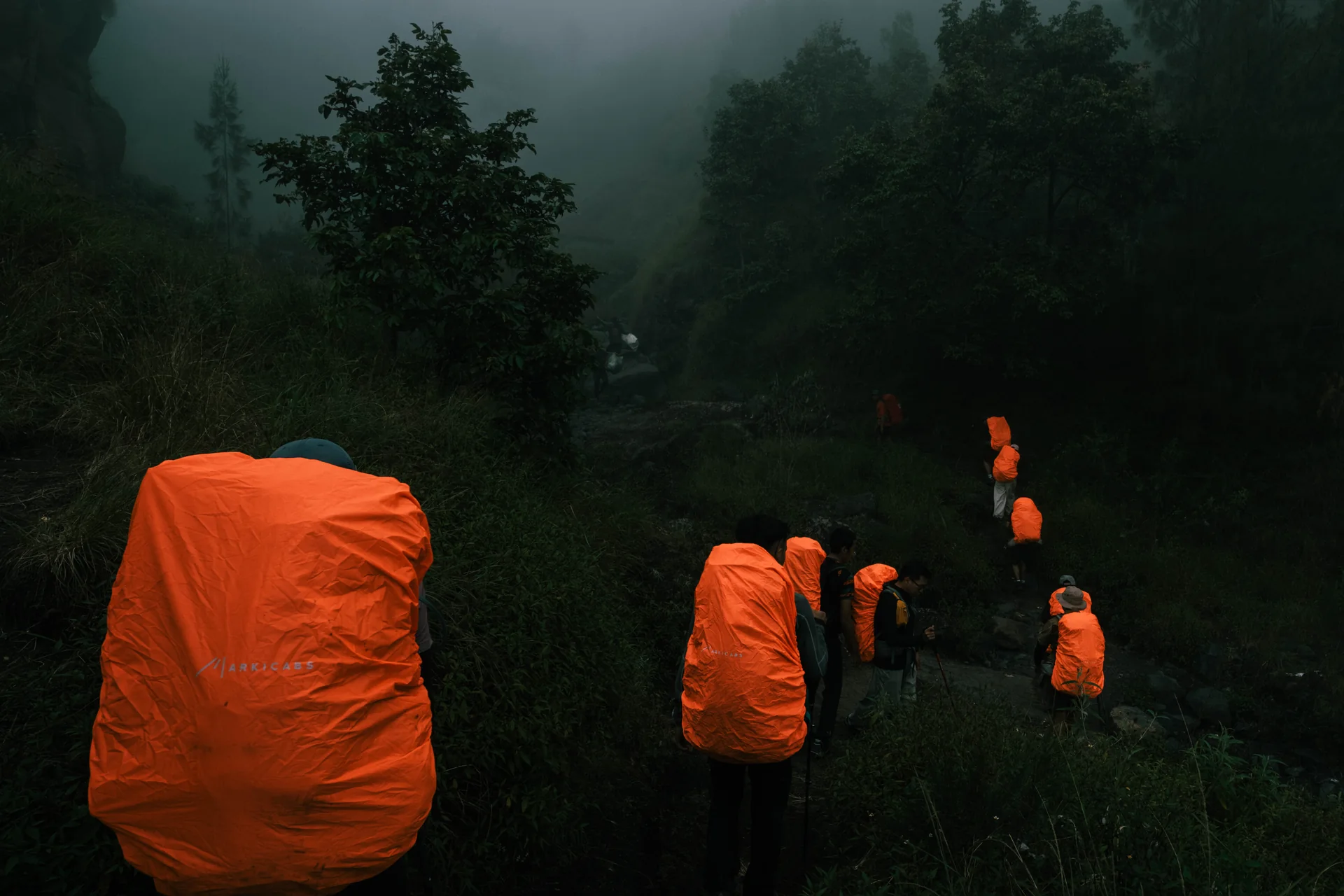 Orange backpack hikers in a misty forest