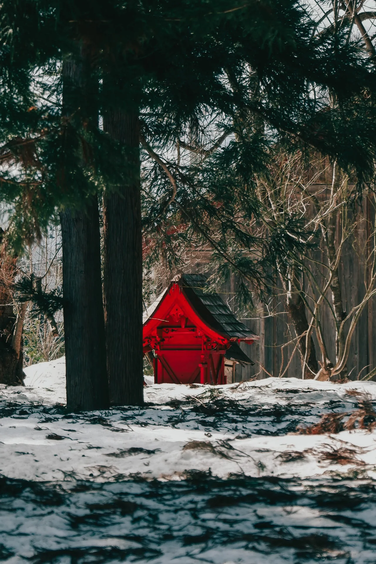 Red shrine behind trees in snow