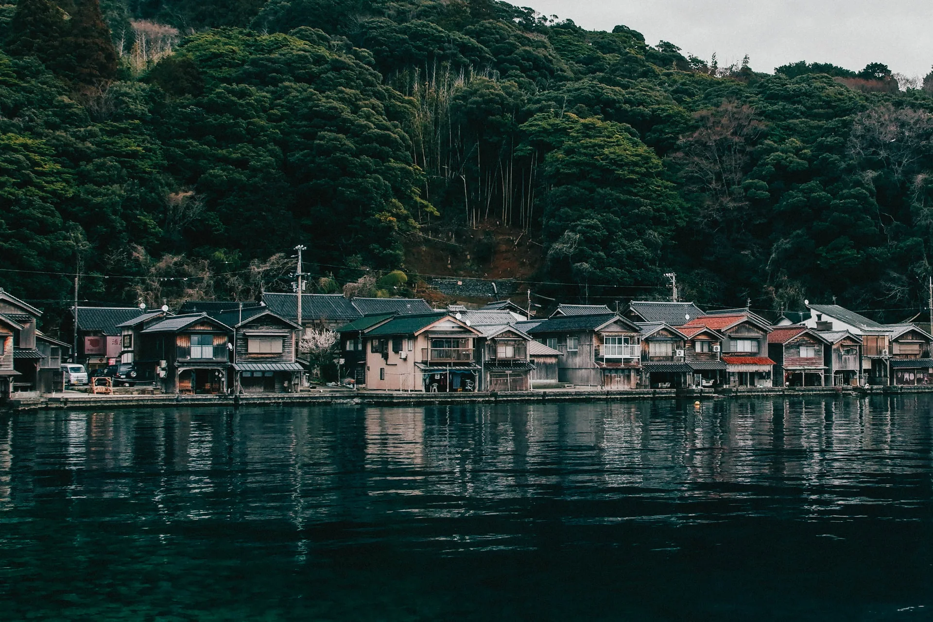 Houses along water reflected below forest